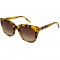 Funky Buddha Sunglasses FBS2038/004
