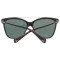 Police Sunglasses SPL404E 6XKL 55